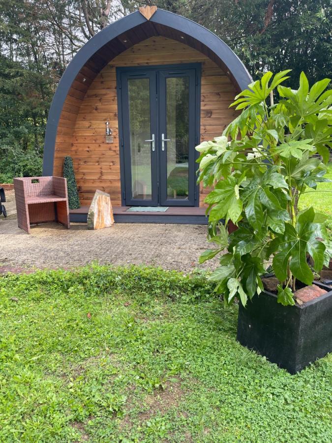 Dormansland South Lodge House المظهر الخارجي الصورة